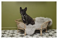 Nordal IRIRI Hundekurv - Rotting 9 Nordal IRIRI Hundekurv - Rotting -UNOLIVING Butikk nordal iriri hundekurv rattan kurve ND01109 5 b688