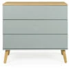 Dot Kommode 90x43 - Salvie/eik
